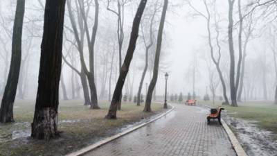 Киев третий день подряд бьет температурный рекорд - обсерватория Срезневского
