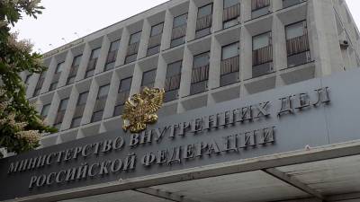 «Правовая оценка»: МВД России уточнило данные о возбуждении уголовных дел после акций протеста 23 января