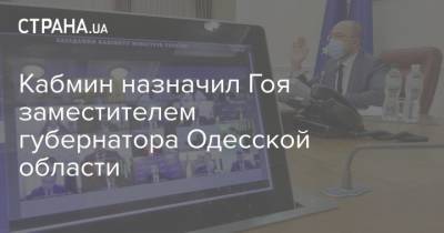 Кабмин назначил Гоя заместителем губернатора Одесской области