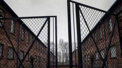 Немецкий футбольный союз выступил с заявлением в день памяти жертв Холокоста - gazeta.ru