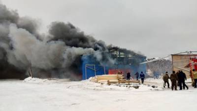 В Архангельской области сгорел склад древесины