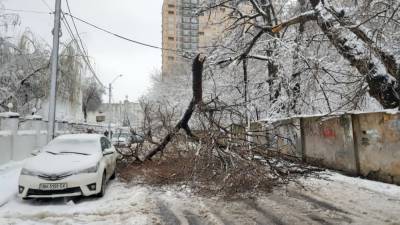 В Одессе непогода повалила деревья