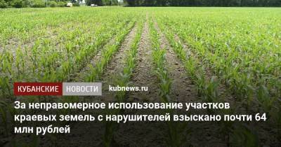 За неправомерное использование участков краевых земель с нарушителей взыскано почти 64 млн рублей