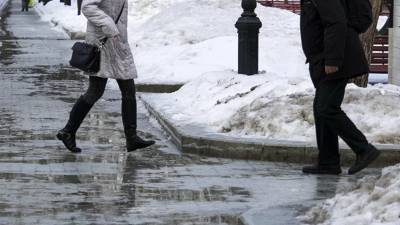 В МЧС предупредили о снеге и гололедице в Москве
