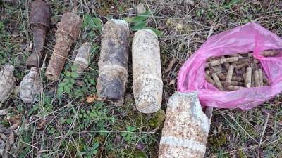 В Севастополе нашли более 100 боеприпасов времён Великой Отечественной войны