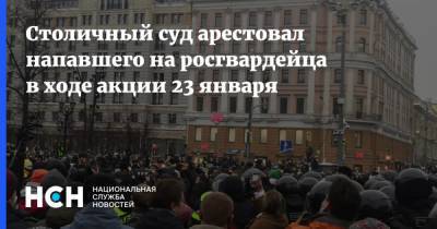 Столичный суд арестовал напавшего на росгвардейца в ходе акции 23 января - nsn.fm - Москва - Нападение