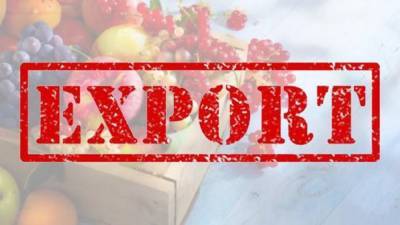 20 миллиардов долларов за сезон – "заработок" Украины на экспорте агропродукции