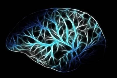 Корейские ученые создали контролирующий клетки мозга имплант с беспроводной зарядкой