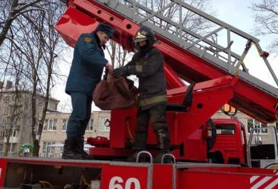Спасатели рассказали о "маленькой спасённой жизни" в Волхове