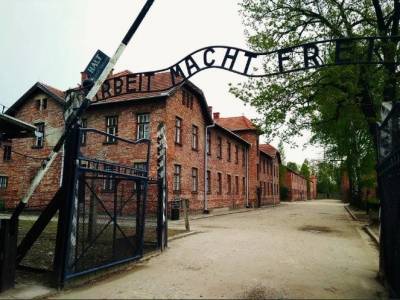 Профессор, заявивший, что «Холокоста не было», сплагиатил научную статью у неонациста