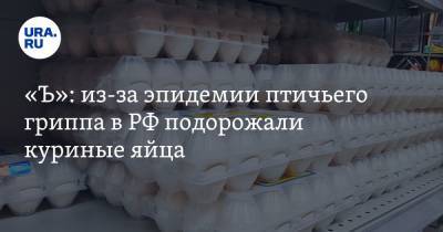 «Ъ»: из-за эпидемии птичьего гриппа в РФ подорожали куриные яйца