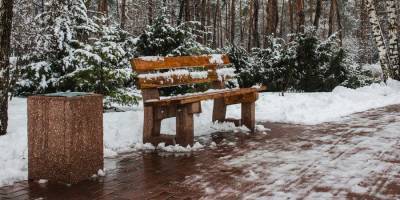Погода в Киеве. В ближайшие три дня ожидается дождь со снегом, слабый ветер