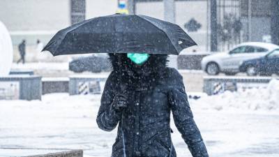 Синоптики предупредили о снегопадах и ветре в Приморье из-за циклона