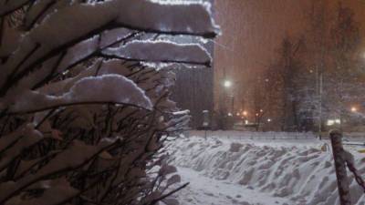 Циклон в Приморье принесет в регион сильный снег и порывистый ветер
