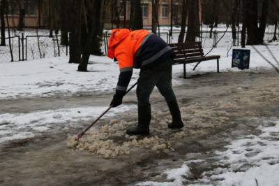 Петербуржцы стали реже жаловаться на скользкие дороги
