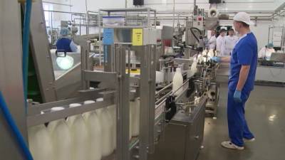 Производство молочной продукции: итоги 2020 года