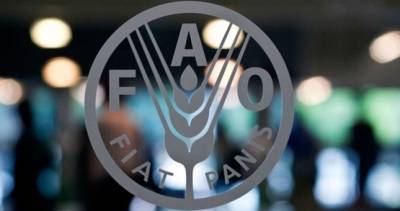 В Таджикистане стартовал новый проект ФАО по контролю безопасности пищевых продуктов