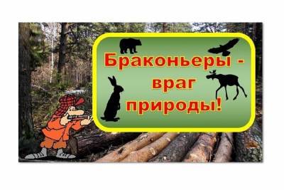 В Ярославской области задержали браконьера убившего лося