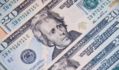 Портрет американского президента Эндрю Джексона на 20-долларовых купюрах могут заменить