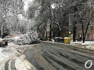 Снегопад, деревопад и новый забор: что происходило в Одессе 27 января