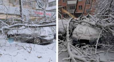 На Юг Украины обрушился снежный буран: начались веерные отключения света