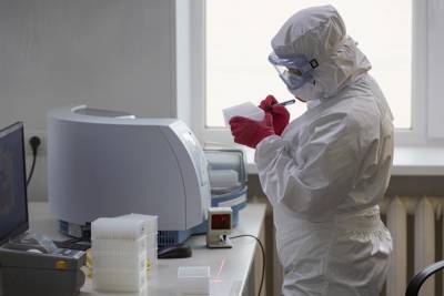 В Свердловской области начало сокращаться ежедневное число новых случаев коронавируса