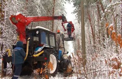 Сильные снегопады в Беларуси: почему не выдерживают энергосети и как справляются коммунальные службы?