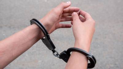 Обвиняемого в изнасиловании девушки заключили под стражу в Кургане