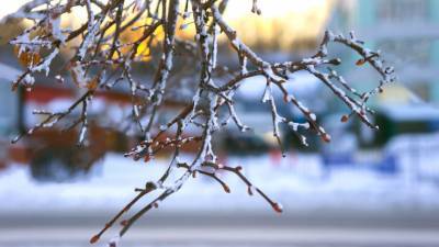 День ведунов, или перелом зимы: народные приметы на 28 января