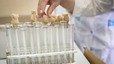 Китайские врачи освоили новый метод забора мазка на коронавирус