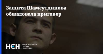 Защита Шамсутдинова обжаловала приговор