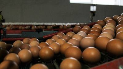 Российские потребители столкнулись с ростом цен на куриные яйца