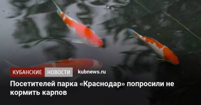 Посетителей парка «Краснодар» попросили не кормить карпов