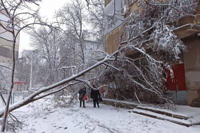 В Одессе из-за непогоды остановился электротранспорт и разрушена часть дома