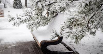 В Одессу пришла настоящая зима: невероятные фото снежной стихии