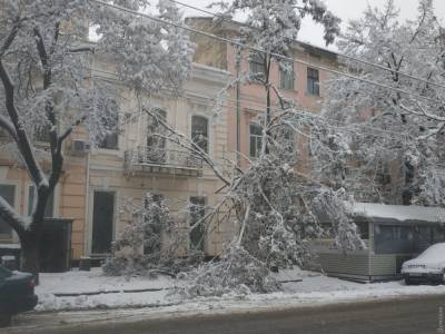Упало 500 деревьев, пострадали почти 60 человек, на помощь подняли военных: впечатляющие кадры обледенения Одессы