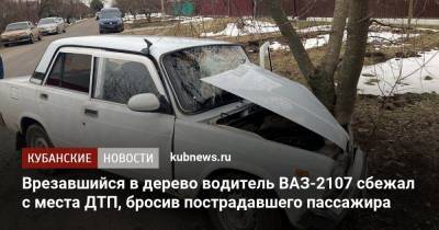 Врезавшийся в дерево водитель ВАЗ-2107 сбежал с места ДТП, бросив пострадавшего пассажира
