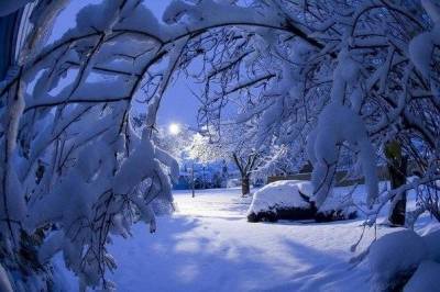В Ленобласти 29 января ожидается до +1 °C и небольшой снег