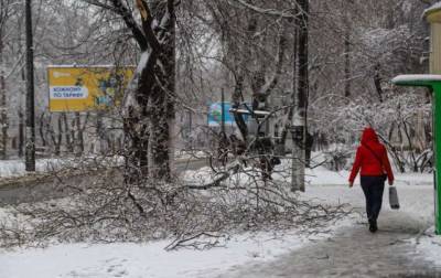 Названо число пострадавших от снежного шторма в Одессе