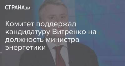 Комитет поддержал кандидатуру Витренко на должность министра энергетики