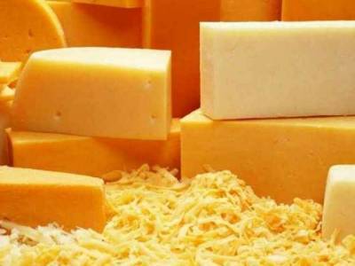 Выбираем твердый сыр в «Метро»: вкусно и полезно