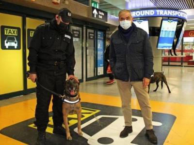 В римском аэропорту появились «антиковидные» собаки