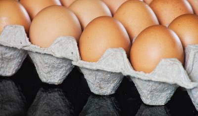 Эксперты прогнозируют снижение цен на яйца в 2021 году