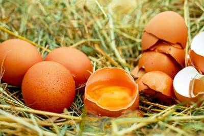 Руспродсоюз ожидает снижения отпускных цен на куриные яйца весной и летом