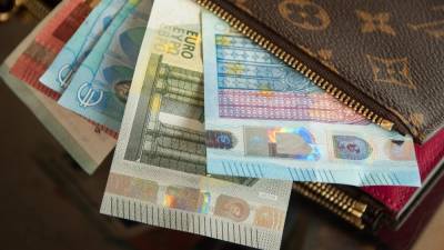 Аналитик оценил возможность подорожания евро до 100 рублей