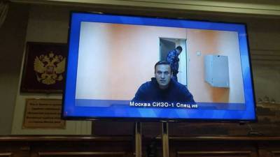 Мособлсуд признал законным арест Алексея Навального до 15 февраля