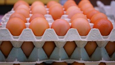 Эксперт прокомментировал ситуацию с ценами на куриные яйца