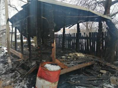 Два десятка кур погибли в огне при пожаре в Тверской области