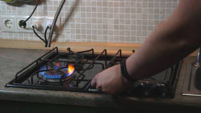 Министр энергетики Украины призвал граждан "потерпеть" высокие цены на газ