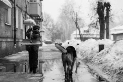 Весна в январе: гуляем с собакой в оттепель